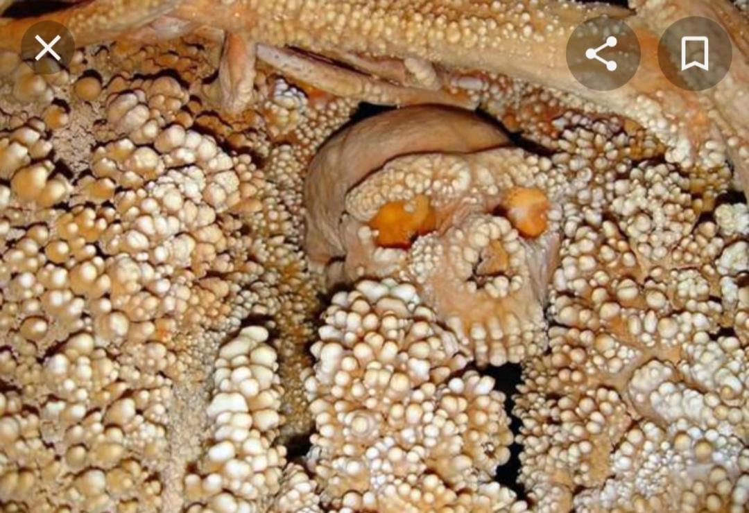 La Casetta Nel Claustro Altamura Dış mekan fotoğraf
